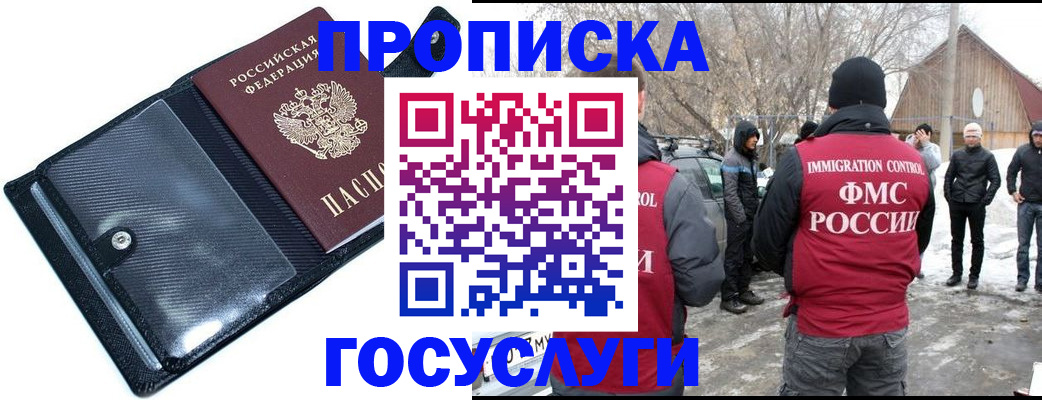 регистрация в Камчатской области